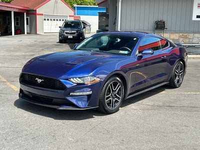 2019 Ford Mustang EcoBoost