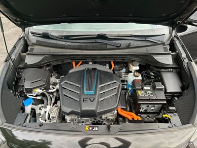 2020 Kia Niro EV EX Premium